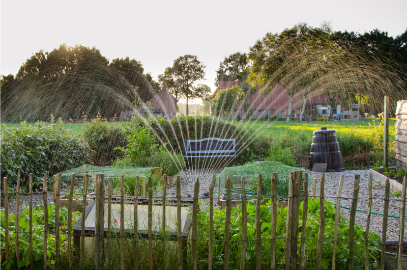 vegetation management vegetation management
