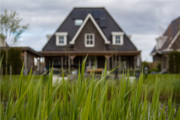 lawncare1